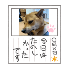hanamama_20210828185955