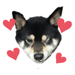 Hikari_20210828181747