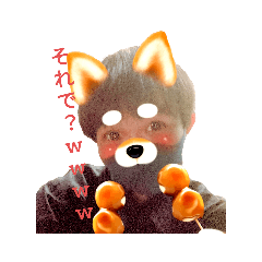 tyapatu dog kome