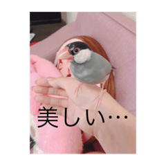 atychan_20210828131149