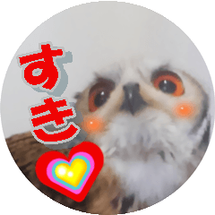 Owl @ Sticker