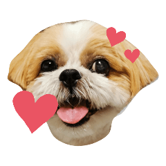 mi.com_20210828132909