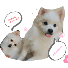 yuka_20210828202728
