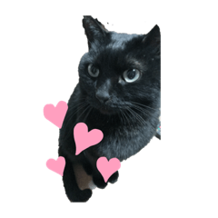 hikari_20210828202603