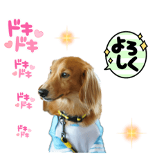 Rina_20210828174143