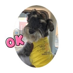 Emily_20210828173743