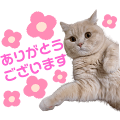 Riho_20210828174227