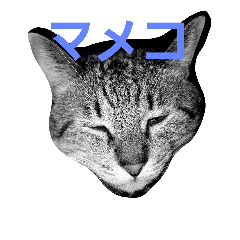 wjgatpw