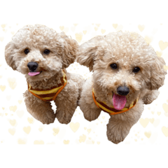 ayumi_20210828152441