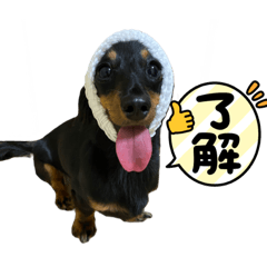 cocoa_20210828212406