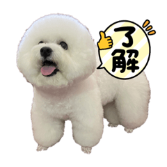 Toranosuke_20210828213113