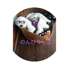 AKIKO_20210828204203