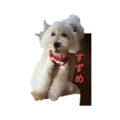 AKIKO_20210829062035