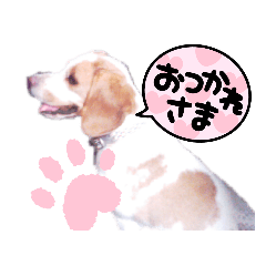 rei_20210829072712