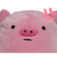 panda_20210828183831