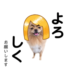 OUR DOGS 001