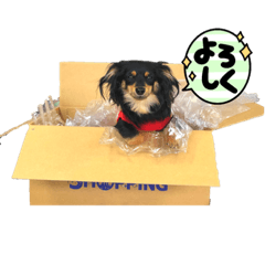 uchi no chiwax choco