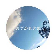 melon_20210828220008