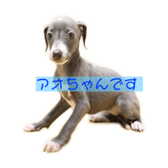 mizuki_20210828204050