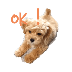 KINACO_20210828235803