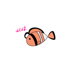 Cute little fish nemo