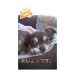 akiko_20210828213556