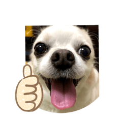 takahashi ke no cocochan