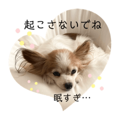 kaori_20210829002535