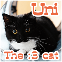 The Sticker of minuet Uni (English)