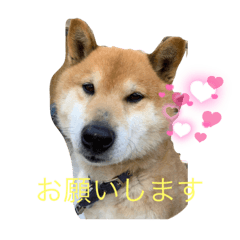 AoI_20210829092952