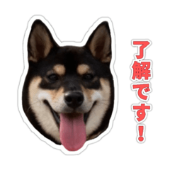 azu_20210829095521