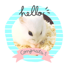 Yuina_20210829095455