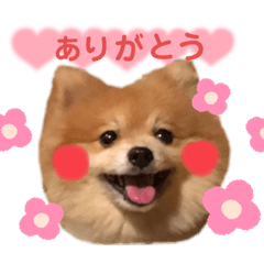 rina_20210829095908