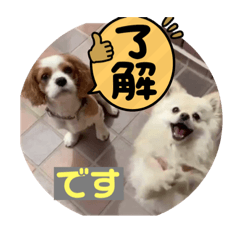 kuu_20210829201003