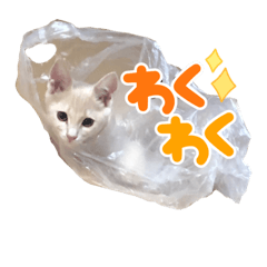 ponzu_20210829125759