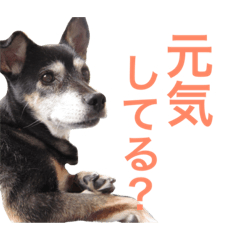 Puru obaachan