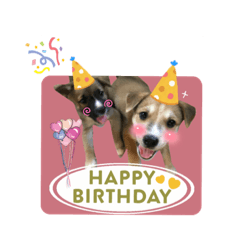 Ringo_20210829232034