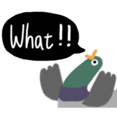 各種可愛的鳥鳥