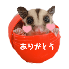 miki_20210829231506
