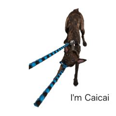 I'm Caicai