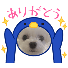 junko_20210829140724