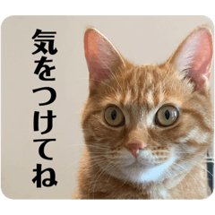 raku_20210830113753