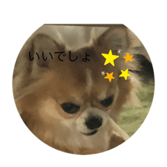 YUTO_20210830114448