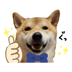 柴犬 Lineクリエイターズスタンプまとめ Stamplist 柴犬 Lineクリエイターズスタンプまとめ Stamplist