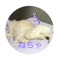 white_dog_menma
