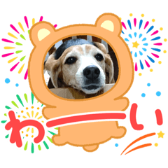 ベルちゃん&花ちゃん