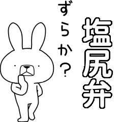 BIG Dialect rabbit[shiojiri]