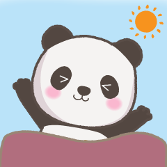 [for everyday]Pop of a small giant panda