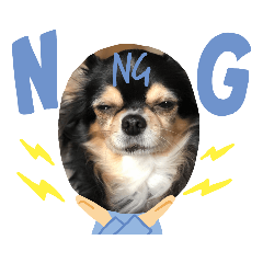Koko_20210829150350