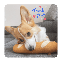 Siduki_20210830130236